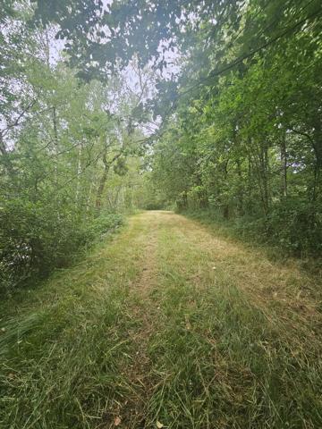 Superbe Étang de 5 000 m2 sur une parcelle de 2 ha de terres et de bois !