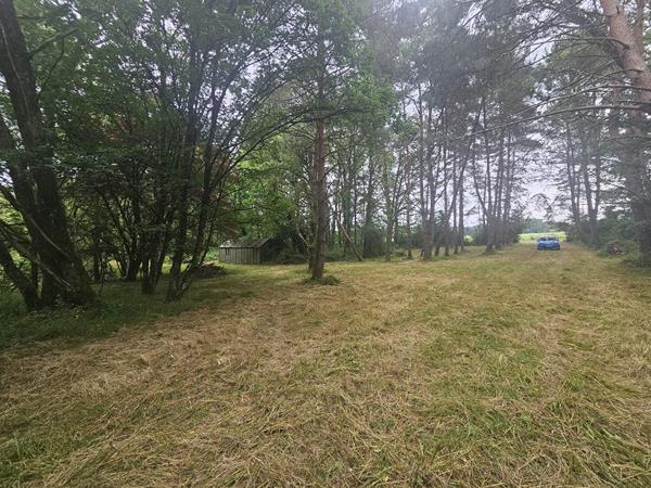 Superbe Étang de 5 000 m2 sur une parcelle de 2 ha de terres et de bois !