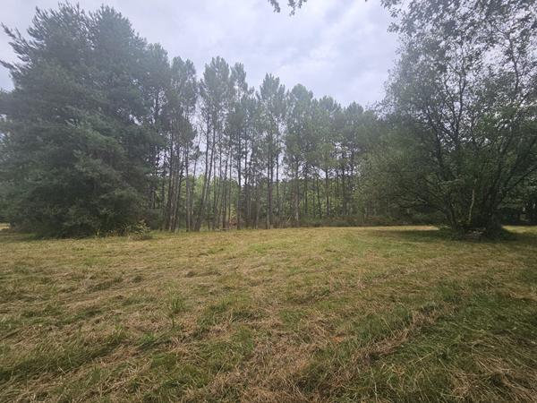 Superbe Étang de 5 000 m2 sur une parcelle de 2 ha de terres et de bois !
