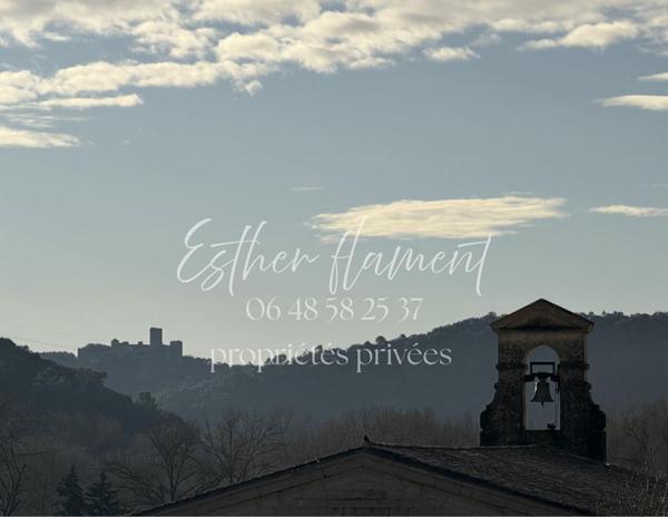 IMMEUBLE  de charme AVEC RAPPORT LOCATIF