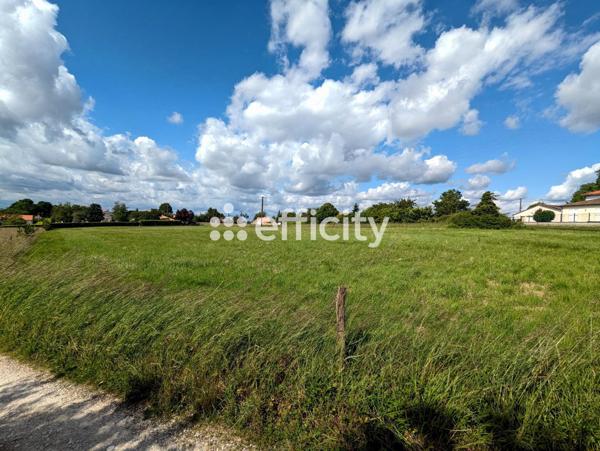 Terrain - 5321 m²