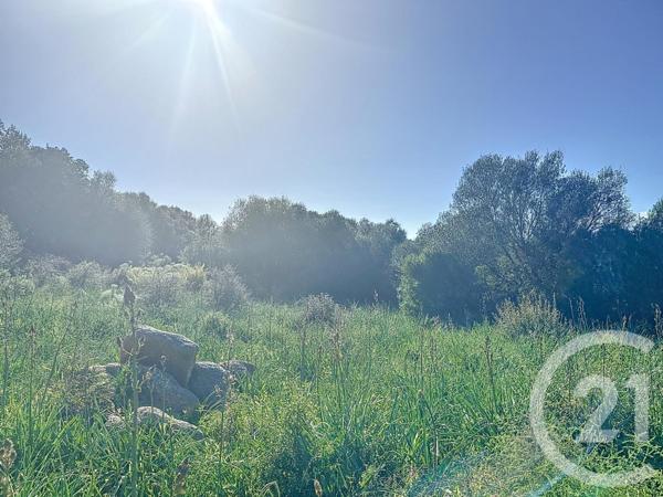 Terrain à vendre  827 m2 PORTO VECCHIO - 201
