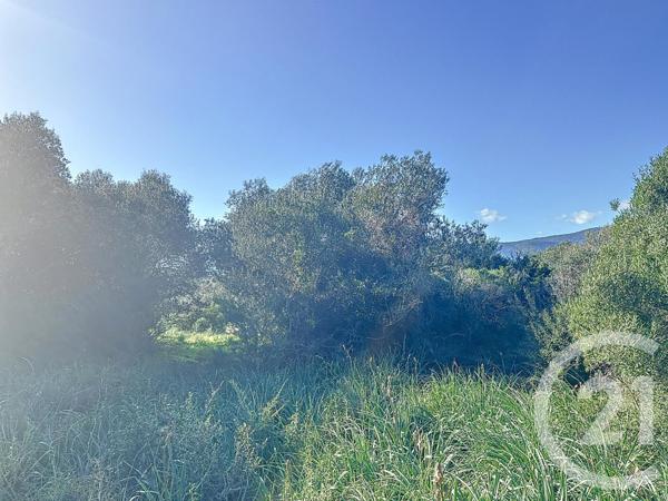 Terrain à vendre  827 m2 PORTO VECCHIO - 201