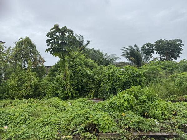 Terrain - 165 m²