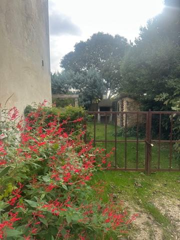 Courthézon (84350) Maison 145m2 avec jardin à Courthézon