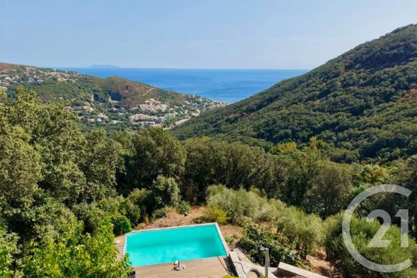 Maison à vendre  9 pièces - 262,24 m 2   SAN MARTINO DI LOTA  - 202