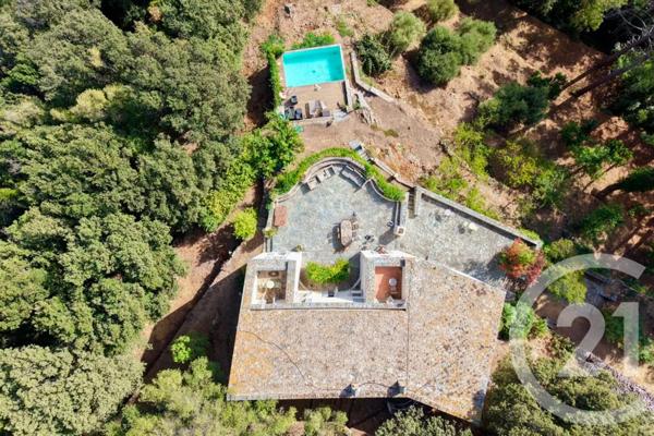 Maison à vendre  9 pièces - 262,24 m 2   SAN MARTINO DI LOTA  - 202