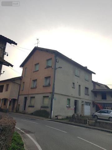 Appartement à louer à Saint-Trivier-de-Courtes dans l'Ain (01560), ref : 13755/492