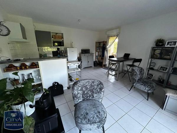 Appartement à louer 3 pièces 54m²