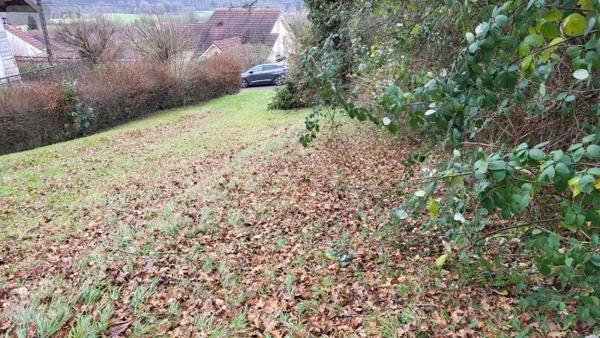 Achat - Terrain à bâtir Bart 25420 3700 m 2