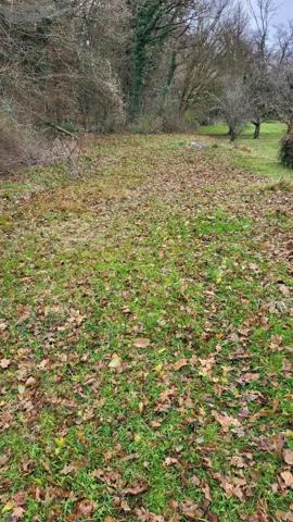 Achat - Terrain à bâtir Bart 25420 3700 m 2
