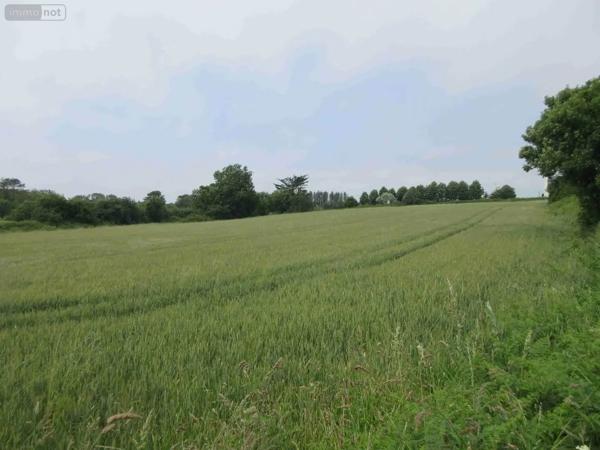 Achat - Maison Plouhinec 29780 1 pièce 1 m 2 10900 m 2