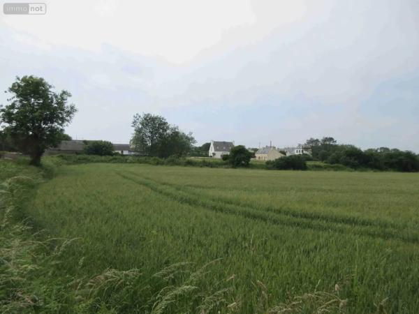 Achat - Maison Plouhinec 29780 1 pièce 1 m 2 10900 m 2