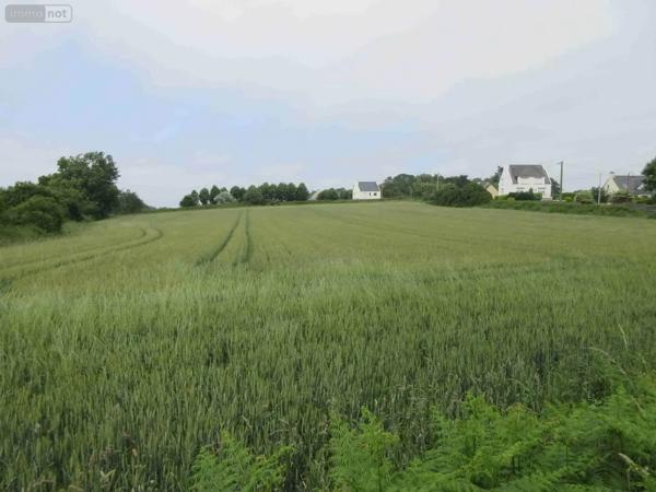 Achat - Maison Plouhinec 29780 1 pièce 1 m 2 10900 m 2
