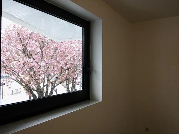 Appartement à louer à Nantes (44200)