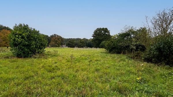 Terrain constructible de 909 m² à Civry-la-Forêt