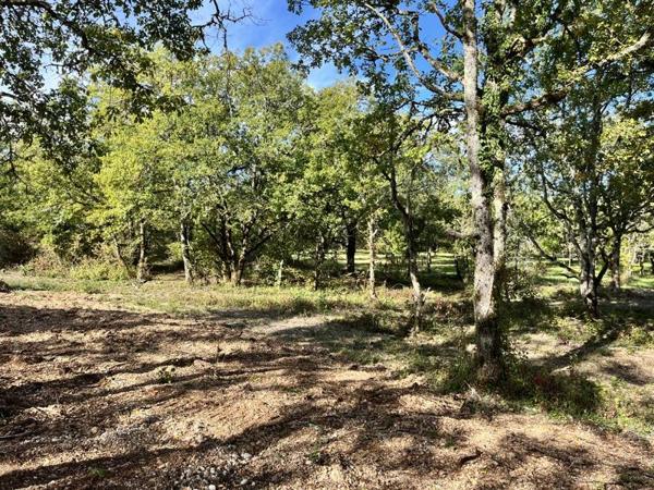 Terrain à vendre |  Lalbenque |  1327 m²