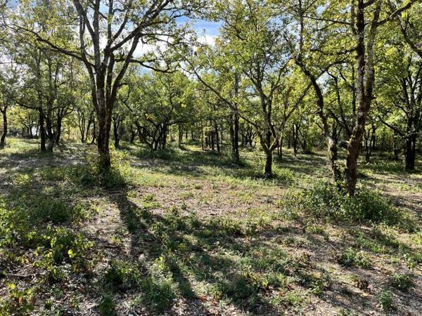 Terrain à vendre |  Lalbenque |  1327 m²