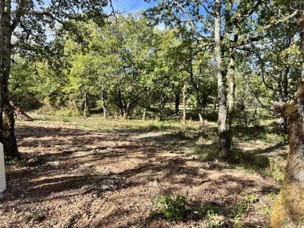 Terrain à vendre |  Lalbenque |  1327 m²