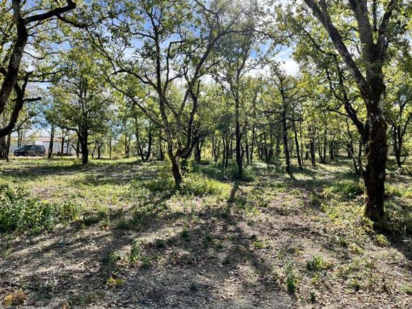 Terrain à vendre |  Lalbenque |  1327 m²