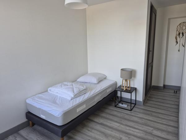 Colocation triplex T5 à louer – Terrasse et vue sur la Vienne