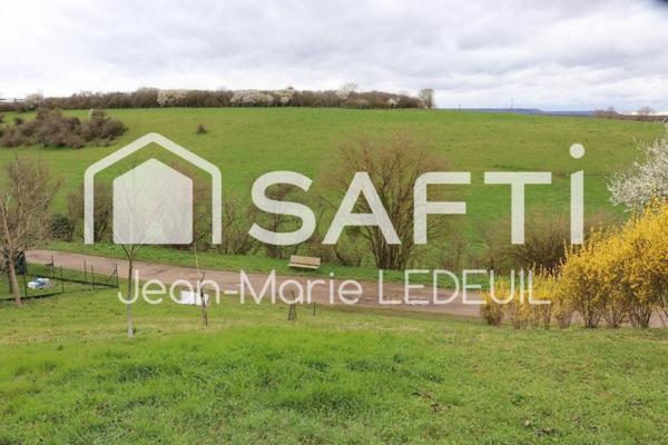 Terrain de loisir, verger.