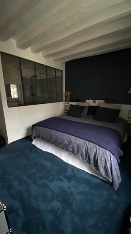 Magnifique duplex en coeur de ville