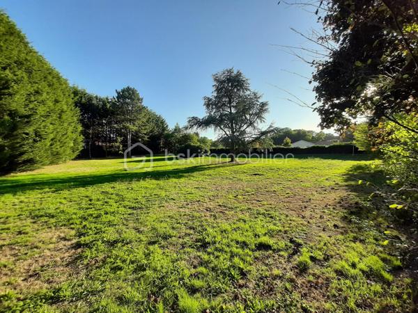 Lotissement de 2 788 m²