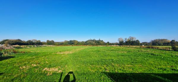 CHARMANTE LONGERE AVEC BEAU TERRAIN