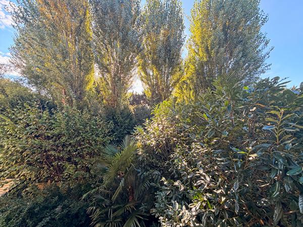 Appartement Palaiseau 2 pièce(s) 51 m2