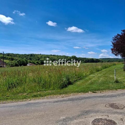 Terrain - 1534 m² Exclusivité efficity