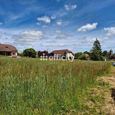 Terrain - 1534 m² Exclusivité efficity