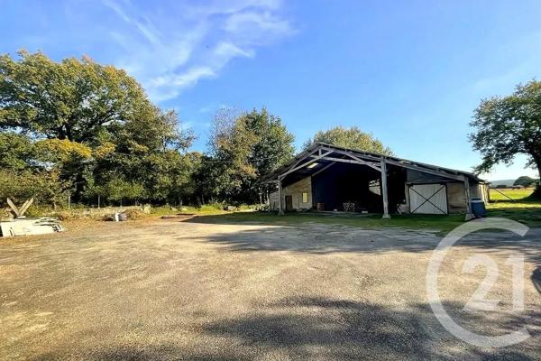 Maison à vendre  5 pièces - 210 m2 GRAND CHAMP - 56