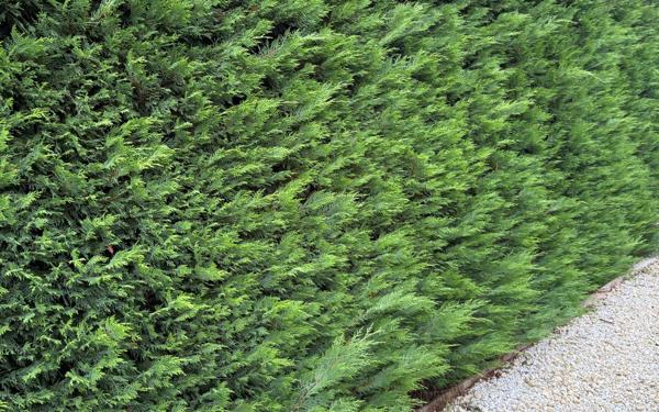 Maison à vendre    4 pièces • 139 m2 Montmorillon