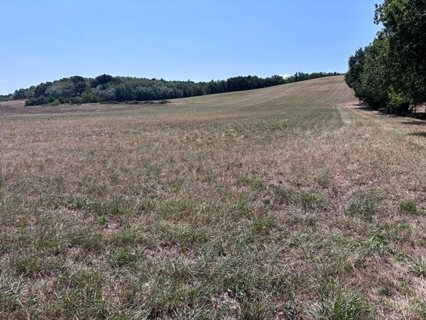 Grand terrain à viabiliser de 11 010 m² à Saint Nauphary
