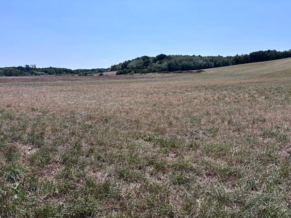 Grand terrain à viabiliser de 11 010 m² à Saint Nauphary