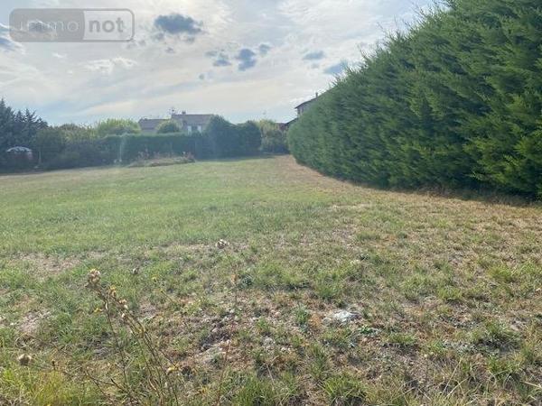 Terrain à Batir à vendre à Lalbenque dans le Lot (46230), ref : 009/917