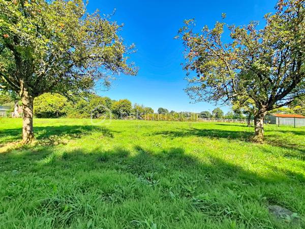 Entre Pont-L'Evêque et Beuzeville, sur la commune de Saint-Benoit-d'Hébertôt, je vous invite à découvrir ce beau terrain à bâtir plat de 1 493 m², bien exposé. Terrain non viabilisé (réseaux en bordure).
Contactez moi pour plus de renseignements et pour convenir d'une visite !
