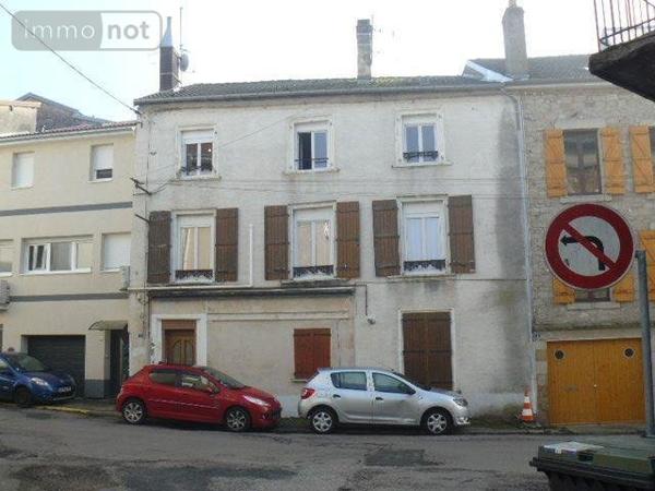 Immeuble de rapport à vendre à Châtel-sur-Moselle dans les Vosges (88330), ref : 2258