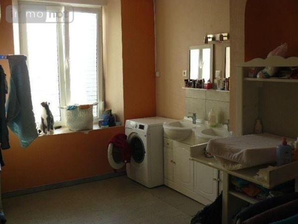 Immeuble de rapport à vendre à Châtel-sur-Moselle dans les Vosges (88330), ref : 2258