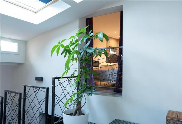 Maison à vendre |  Villasavary |  6 pièces | 296 m²