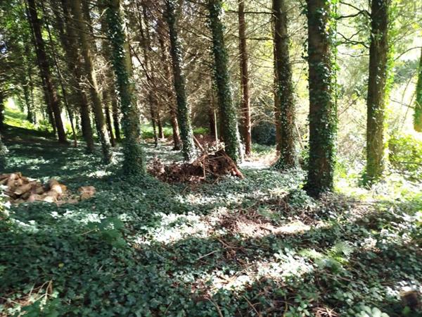 Maison de campagne à Pontivy