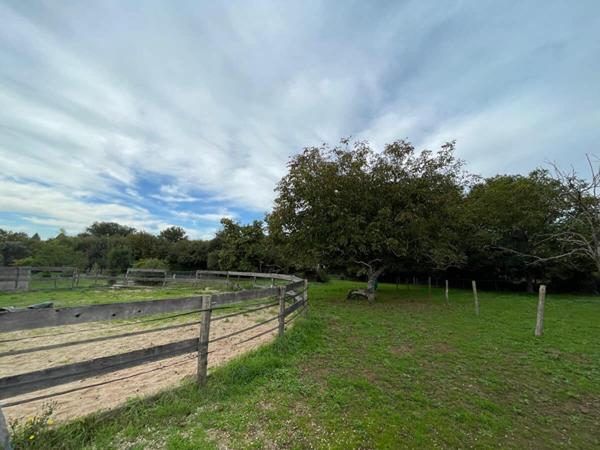 Maison familiale 5 chambres avec dépendances équestres ? Celles-sur-Belle (79370)