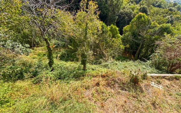 Maison à vendre    5 pièces • 135 m2 Nice