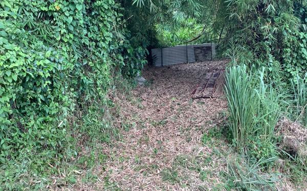 Terrain à vendre    Basse-Pointe