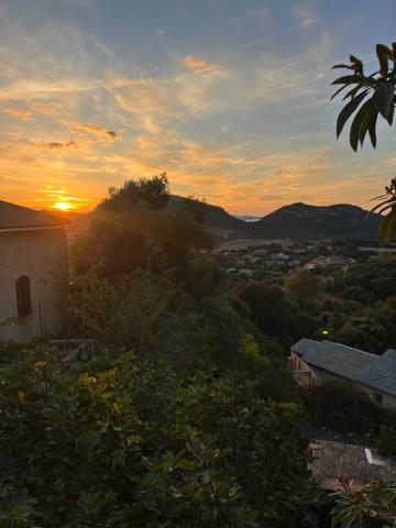 EXCLUSIVITE: Terrain exceptionnel de 900 m2 avec vue mer à PATRIMONIO (20)