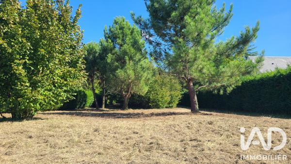 Terrain à vendre 2 266 m² Noyant-Villages