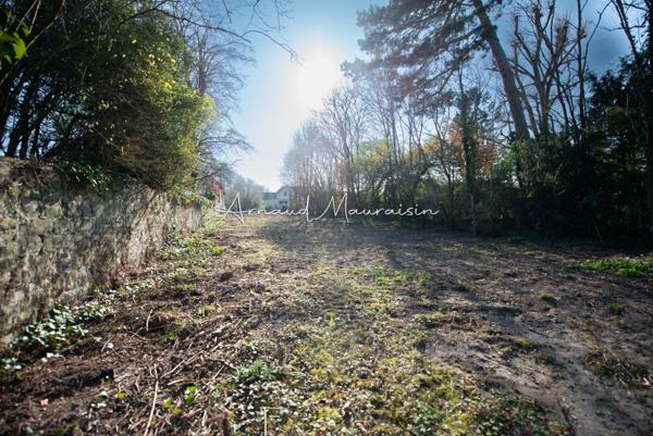 Terrain constructible au calme dans une impasse