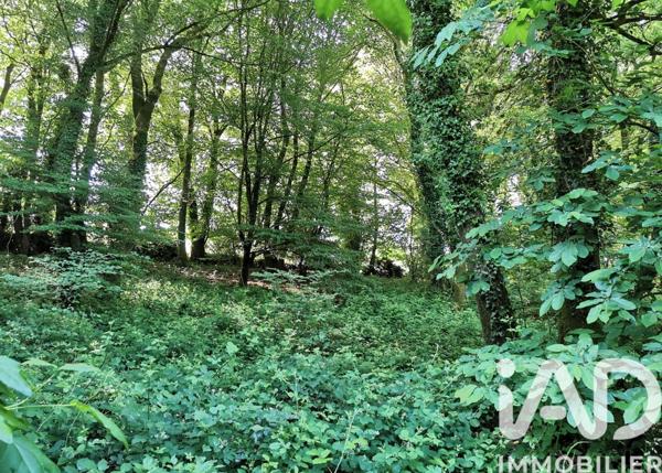 Terrain à vendre 15 000 m² Poullaouen