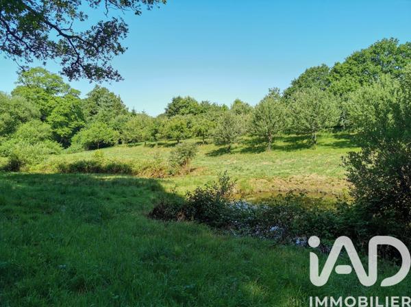 Terrain à vendre 15 000 m² Poullaouen